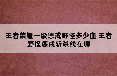 王者荣耀一级惩戒野怪多少血 王者野怪惩戒斩杀线在哪